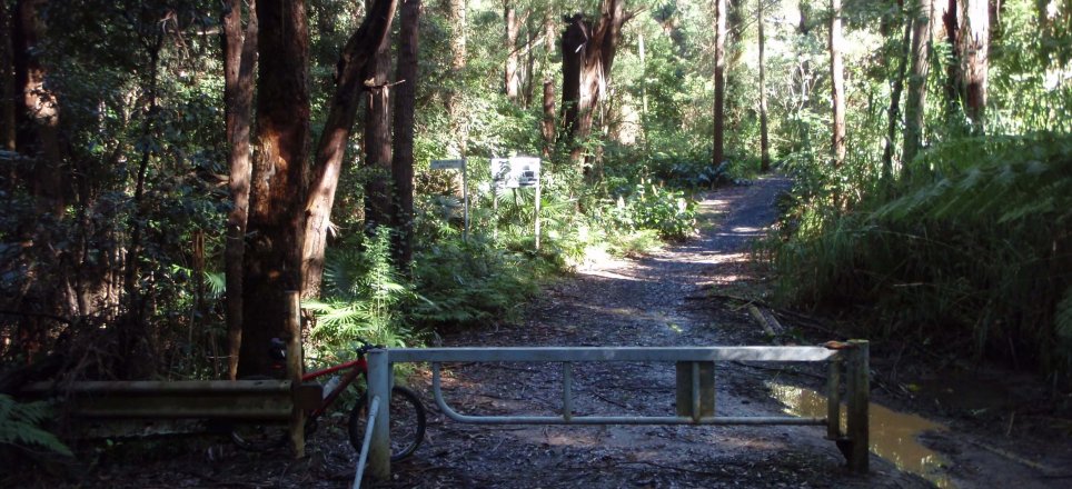 The second gate on the Illawarra Escarpment Trail, near Bulli Pass hairpin