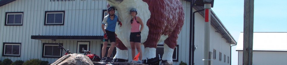 The Big Cow at Eldersley