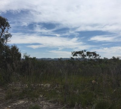 View from along the ridge, Yarramunmun Firetrail.
