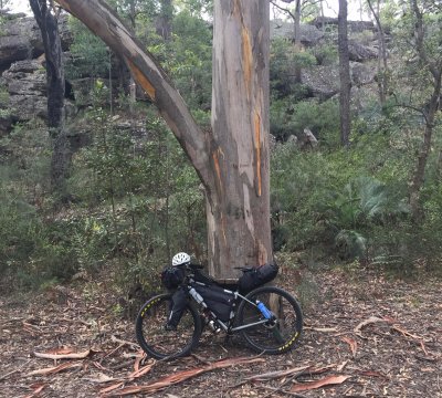 First scenic stop, soon after leaving the pavement. A nice rock face and tree.