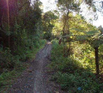 The climb up form the old Corrimal Colliery site (above the tunnel entry)