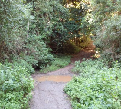 Plenty of water on the trail