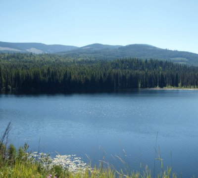 Nelson in the distance