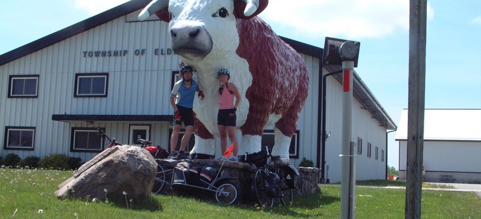 The Big Cow at Eldersley