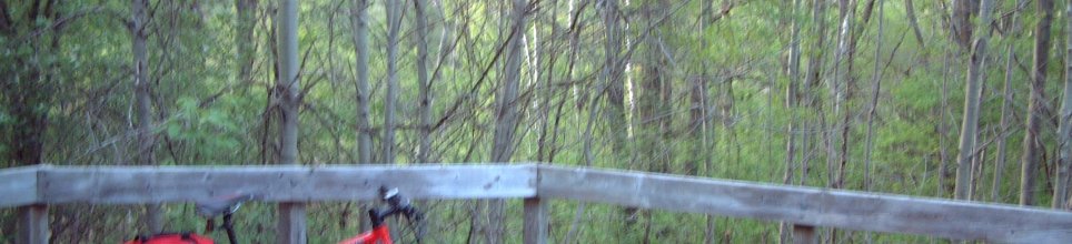Platform at the 'Summit Bog': Hamilton-Brantford Rail Trail