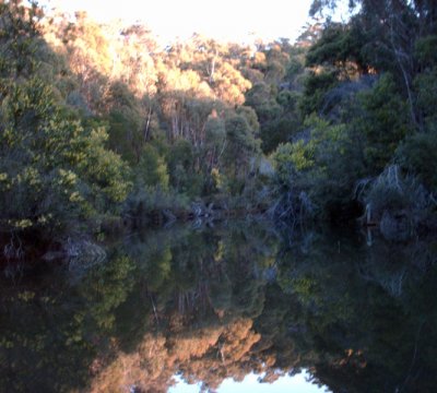 O'Hares Creek — looking east, Dharawal
