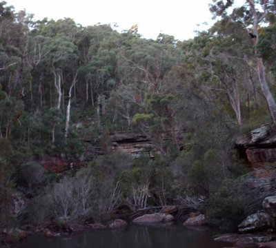 O'Hares Creek — looking west, Dharawal