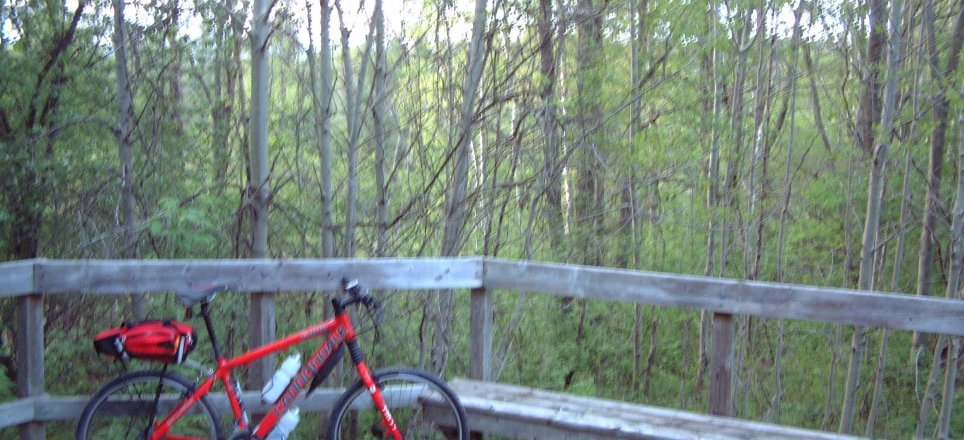 Platform at the 'Summit Bog': Hamilton-Brantford Rail Trail