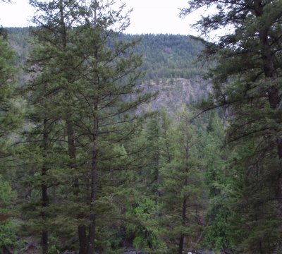 Looking south-west from campsite: Stemwinder Provincial Park